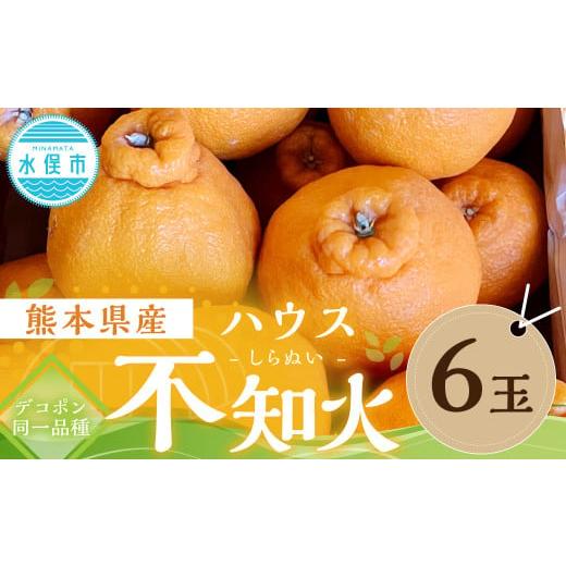 ふるさと納税 みかん・柑橘類 熊本県 水俣市 熊本県産 ハウス不知火 (デコポン同一品種) 6玉 不知火 しらぬい デコポン くだもの 果物 フルーツ 柑橘 2025年…