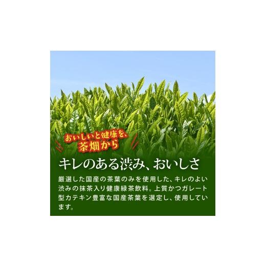 ふるさと納税 お茶類 緑茶（飲料） 静岡県 牧之原市  定期便6か月 おーいお茶 濃い茶 2L × 6本 6回 お届け 防災備蓄 茶 ペットボトル 飲料 緑茶 機能性表示食…の画像