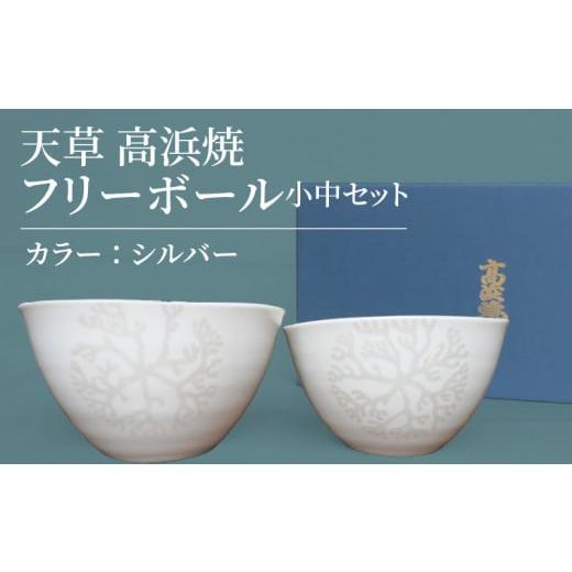 ふるさと納税 陶磁器・漆器・ガラス 熊本県 天草市 S026-023_天草 高浜焼フリーボール 小中セット(シルバー) シルバー