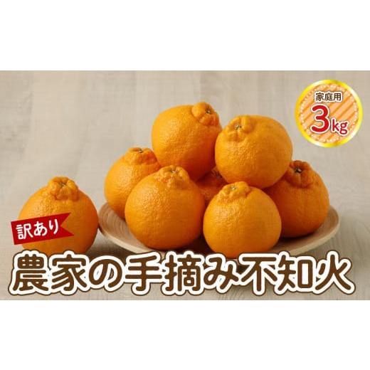 ふるさと納税 果物類 みかん 熊本県 天草市 S040-030_ 訳あり 順次発送 農家の手摘み 不知火 家庭用 3kg 順次発送
