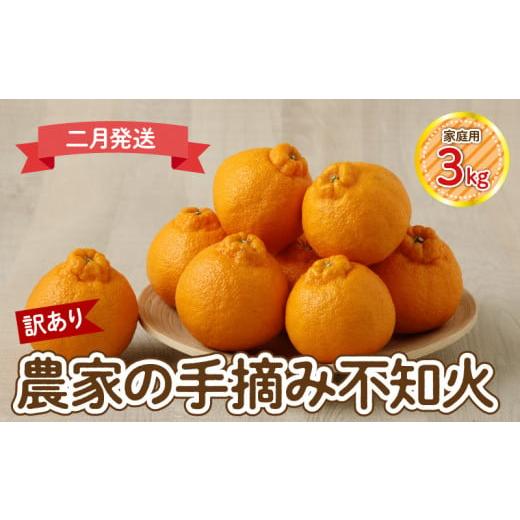 ふるさと納税 果物類 みかん 熊本県 天草市 S040-030_ 訳あり 2月発送 農家の手摘み 不知火 家庭用 3kg 2月発送