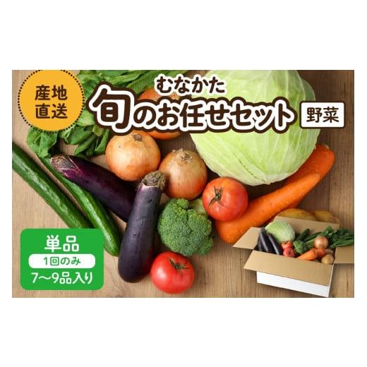 ふるさと納税 セット・詰合せ 福岡県 宗像市 むなかた旬のお任せセット(野菜) 7〜9品 JAほたるの里 _HA1569の画像