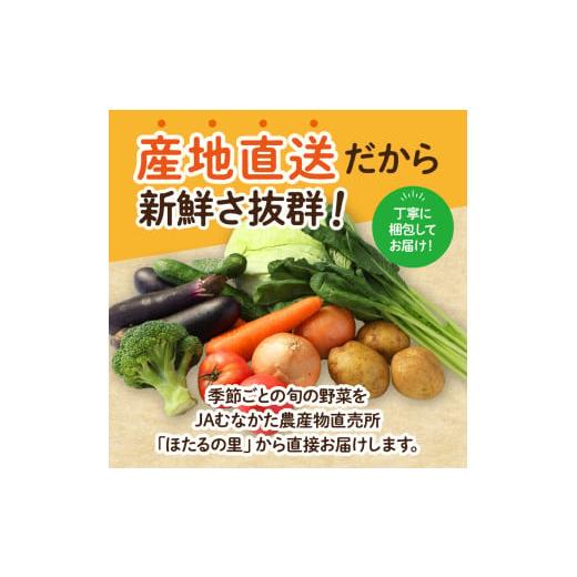 ふるさと納税 セット・詰合せ 福岡県 宗像市 むなかた旬のお任せセット(野菜) 7〜9品 JAほたるの里 _HA1569の画像