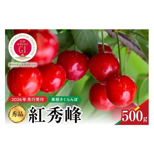 ふるさと納税 果物類 さくらんぼ 山形県 東根市 2026年産 先行予約 紅秀峰 秀品 500g 山形県 東根市 hi062-052