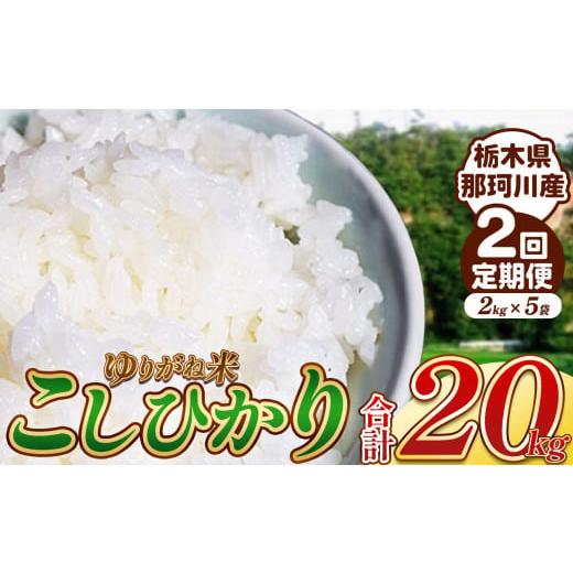 ふるさと納税 米 コシヒカリ 栃木県 那珂川町 定期2回 ゆりがね米 10kg|コシヒカリ 米 白米 おいしい お米 こめ おこめ 白米 精米 国産 ごはん ご飯 白飯 米…