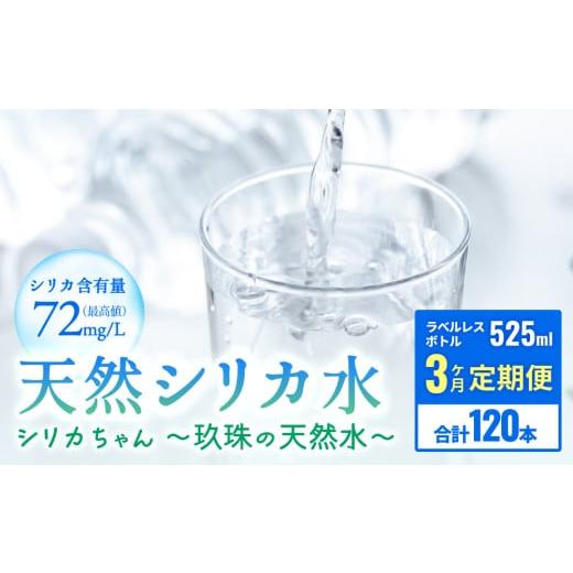 ふるさと納税 水・ミネラルウォーター 500mL〜999mL 大分県 玖珠町 定期便 天然シリカ天然水 525ml × 40本 3ヶ月 シリカちゃん〜玖珠の天然水〜 天然水 シリ…