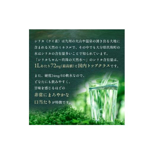 ふるさと納税 水・ミネラルウォーター 500mL〜999mL 大分県 玖珠町  定期便 天然シリカ天然水 525ml × 40本 3ヶ月 シリカちゃん〜玖珠の天然水〜 天然水 シリ…の画像