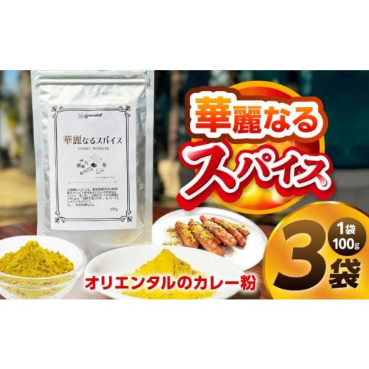ふるさと納税 調味料・油 愛知県 稲沢市 華麗なるスパイス(100g×3袋) / スパイス カレー粉 調味料 香辛料 カレーパウダー / 稲沢市 / オリエンタル BMAM…