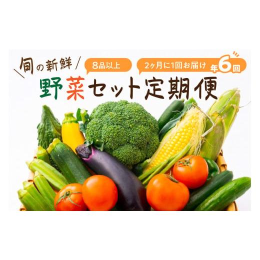 ふるさと納税 セット・詰合せ 和歌山県 御坊市  定期便 旬の新鮮野菜セットたっぷり8種以上　6か月_1