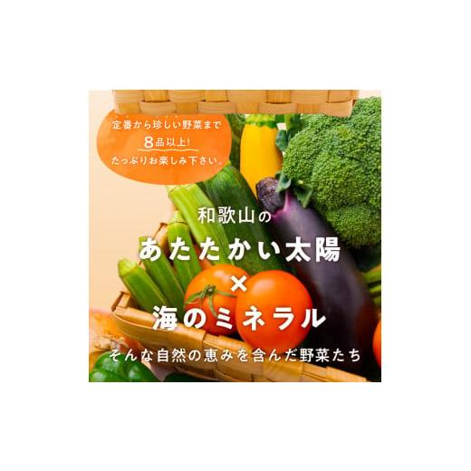 ふるさと納税 セット・詰合せ 和歌山県 御坊市  定期便 旬の新鮮野菜セットたっぷり8種以上　6か月_2