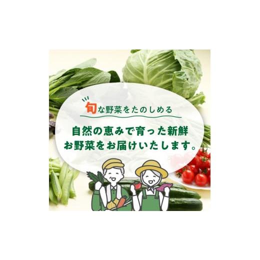 ふるさと納税 セット・詰合せ 和歌山県 御坊市  定期便 旬の新鮮野菜セットたっぷり8種以上　6か月_3
