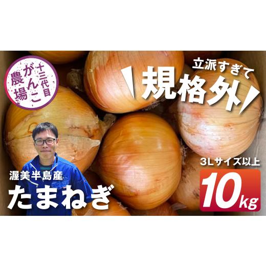 ふるさと納税 野菜類 玉ねぎ 愛知県 田原市 がんこ玉ねぎ 10kgの画像