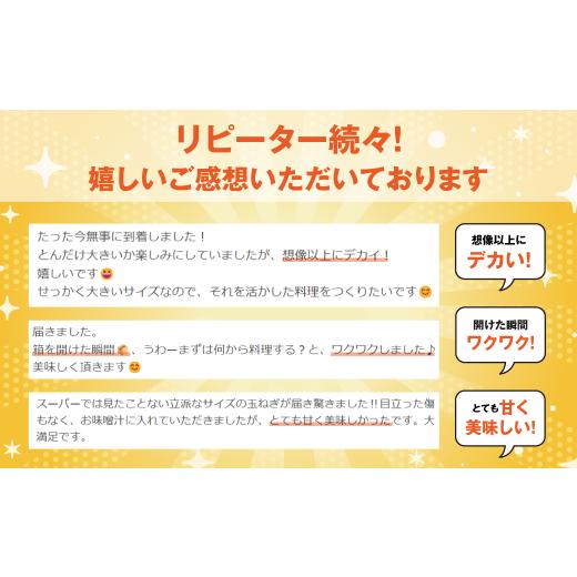 ふるさと納税 野菜類 玉ねぎ 愛知県 田原市 がんこ玉ねぎ 10kgの画像