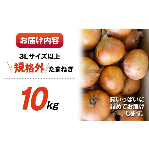 ふるさと納税 野菜類 玉ねぎ 愛知県 田原市 がんこ玉ねぎ 10kgの画像