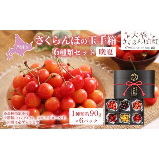 ふるさと納税 果物類 さくらんぼ 北海道 芦別市  先行受付 さくらんぼの玉手箱 6種類セット 晩夏 品種指定不可 No.5342-0295_1
