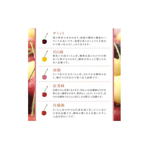 ふるさと納税 果物類 さくらんぼ 北海道 芦別市  先行受付 さくらんぼの玉手箱 6種類セット 晩夏 品種指定不可 No.5342-0295_6