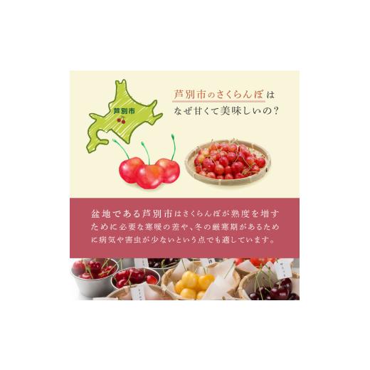 ふるさと納税 果物類 さくらんぼ 北海道 芦別市  先行受付 さくらんぼの玉手箱 6種類セット 晩夏 品種指定不可 No.5342-0295_7