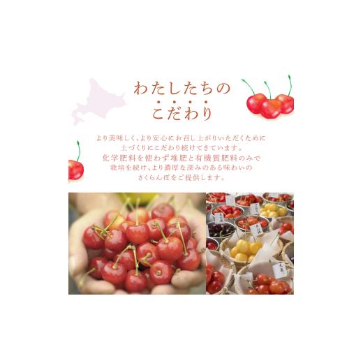 ふるさと納税 果物類 さくらんぼ 北海道 芦別市  先行受付 さくらんぼの玉手箱 6種類セット 晩夏 品種指定不可 No.5342-0295_8