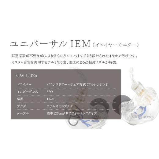 ふるさと納税 TV・オーディオ・カメラ 埼玉県 所沢市 カナルワークス ユニバーサルIEM CW-U02a | イヤホン インイヤーモニター IEM ユニバーサルIEM ハンドメ…の画像
