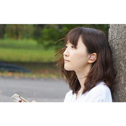 ふるさと納税 TV・オーディオ・カメラ 埼玉県 所沢市 カナルワークス ユニバーサルIEM CW-U02a | イヤホン インイヤーモニター IEM ユニバーサルIEM ハンドメ…の画像