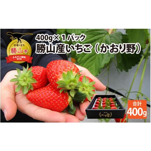 ふるさと納税 いちご 福井県 勝山市 先行予約 勝山産いちご(かおり野)400g×1パック 2025年12月上旬より順次発送