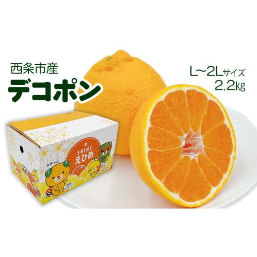 ふるさと納税 みかん・柑橘類 デコポン 愛媛県 西条市 デコポン 柑橘 でこぽん 2.2kg(L〜2Lサイズ) 愛媛県西条市 2026年2月下旬〜3月下旬発送 | 柑橘 かん…
