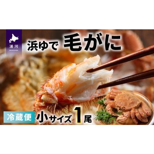 ふるさと納税 カニ 毛ガニ 北海道 浦河町 今が旬 漁協の浜ゆで毛がに 小サイズ1尾 日付指定対応不可