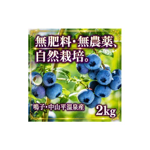 ふるさと納税 果物類 宮城県 大崎市 [9月より順次発送]先行受付 ブルーベリー 無農薬無化学肥料栽培 鳴子・中山平温泉産 2kg | ku001-2kg 2kg