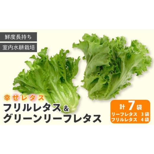 ふるさと納税 野菜類 徳島県 阿波市 野菜 詰め合わせ セット レタス 計7個 幸せレタス フリルレタス 4個 グリーンリーフ 3個 水耕栽培 LED 栽培 低菌 野菜 丸…