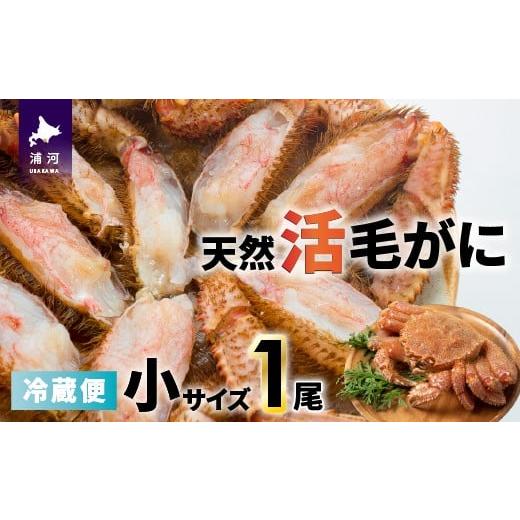 ふるさと納税 カニ 毛ガニ 北海道 浦河町 今が旬 漁協の活毛がに 小サイズ1尾 日付指定対応不可