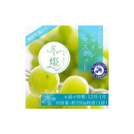 ふるさと納税 ぶどう 岡山県 津山市 11月-1月発送 氷温貯蔵マスカット冬姫(1房) 1565009