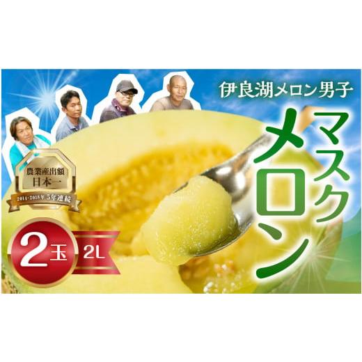 ふるさと納税 メロン メロン青肉 愛知県 田原市 8月お届け 伊良湖産 マスクメロン 2玉 2Lサイズ 箱詰め メロン フルーツ 果物 8月 お取り寄せ 渥美半島 田原…