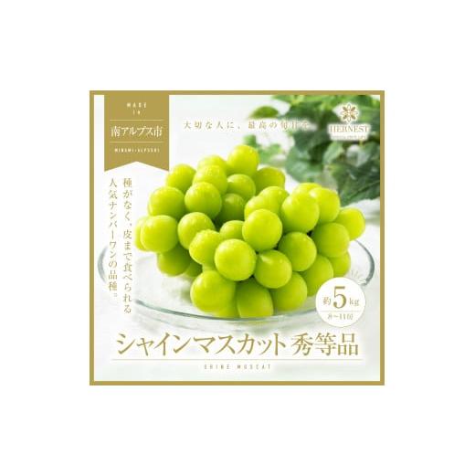 ふるさと納税 ぶどう マスカット 山梨県 南アルプス市 2026年発送分先行予約 山梨県南アルプス市産シャインマスカット 秀等品 約5kg 8〜11房 AL