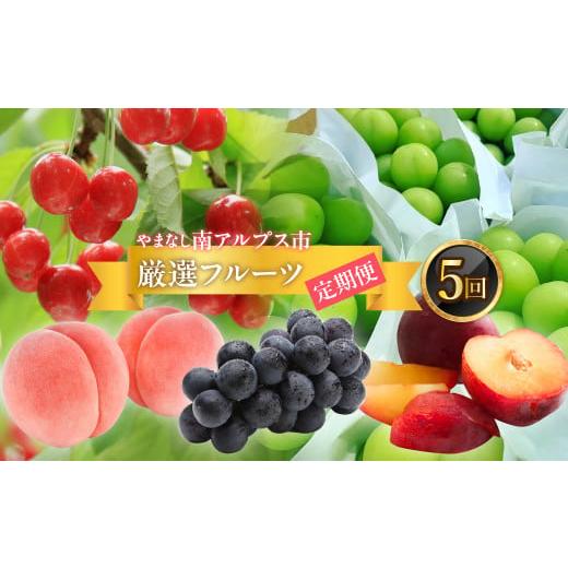 ふるさと納税 果物類 山梨県 南アルプス市 2026年発送分先行予約 フルーツギフト専門店が選ぶ南アルプスの厳選フルーツ定期便 全5品種(さくらんぼ・桃・貴…