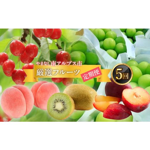 ふるさと納税 果物類 山梨県 南アルプス市 2026年発送分先行予約 フルーツギフト専門店が選ぶ南アルプスの厳選フルーツ定期便 全5品種(さくらんぼ・桃・貴…