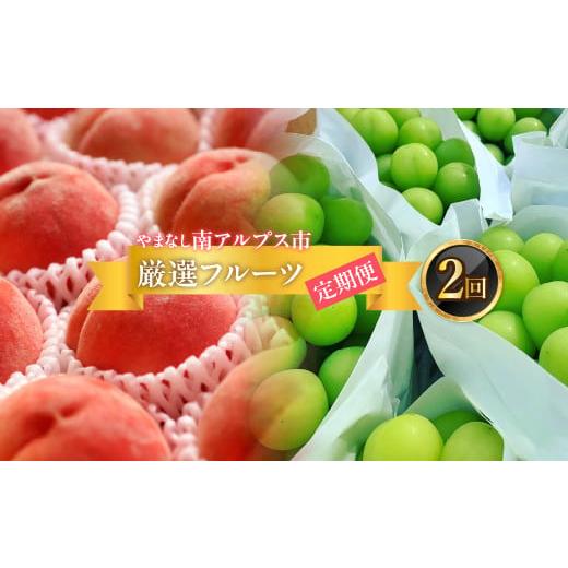 ふるさと納税 もも 山梨県 南アルプス市 2026年発送分先行予約 フルーツギフト専門店が選ぶ南アルプスの厳選フルーツ定期便 全2品種(桃・シャインマスカッ…