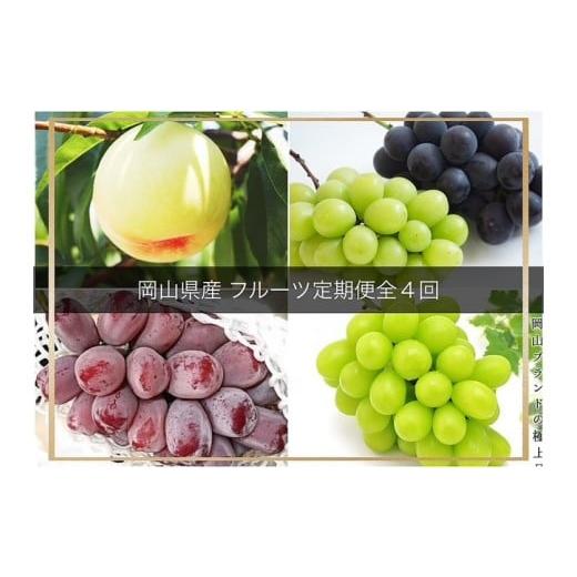ふるさと納税 果物類 ぶどう 岡山県 岡山市 フルーツ 2026年 岡山県産 定期便 4回コース(シャインマスカット・ニューピオーネ・岡山冬桃がたり等) | フルー…