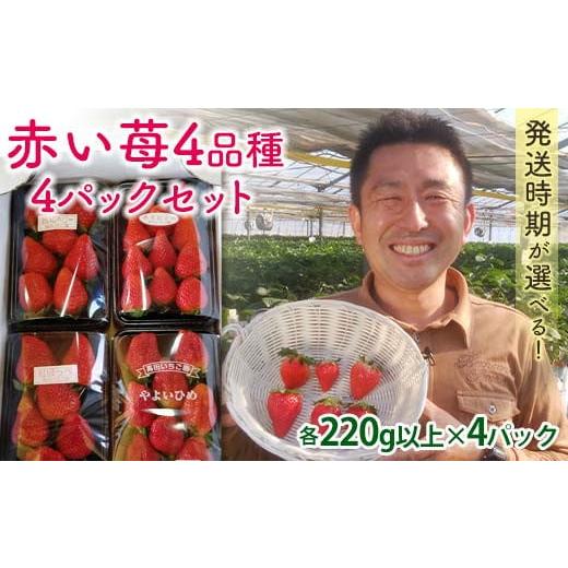 ふるさと納税 いちご 群馬県 富岡市 自宅でいちご狩りセット 赤い苺4品種 2026年1月4日〜3月31日発送 計4パック(各220g以上) 群馬県産 いちご 苺 イチゴ 食べ…