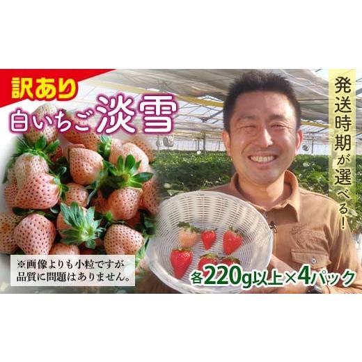 ふるさと納税 いちご 群馬県 富岡市 訳あり品 群馬県産白イチゴ「淡雪」(各220g以上×4パック) 2026年1月4日〜3月31日発送 小粒 訳あり 白いちご 淡雪 群馬県…
