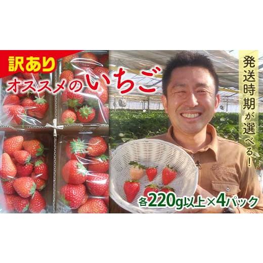 ふるさと納税 いちご 群馬県 富岡市 訳あり品 群馬県産オススメいちご 4品種(各220g以上×4パック) 2026年3月1日〜5月15日発送 小粒 訳あり 群馬県産 いちご …