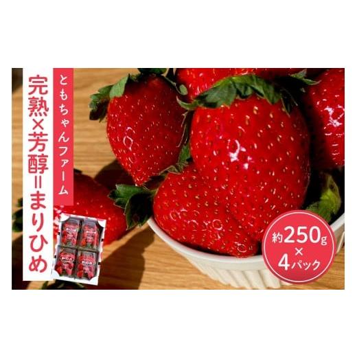 ふるさと納税 いちご 和歌山県 御坊市 「完熟×芳醇=まりひめ」4パック(約250g×4) 先行予約 2026年1月上旬より順次発送予定 配送不可地域:北海道・沖縄・…