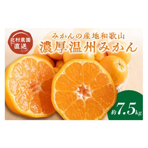 ふるさと納税 果物類 みかん 和歌山県 御坊市 みかんの産地和歌山の農園直送北村農園の天田みかん7.5kg