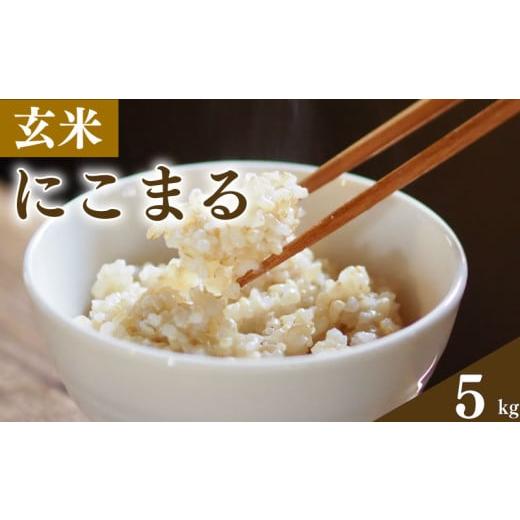 ふるさと納税 玄米 徳島県 阿波市 玄米 5kg にこまる お米 栽培期間中農薬不使用 安心 安全 こだわり栽培 ビタミン ミネラル 食物繊維 豊富 おにぎり お弁当 …