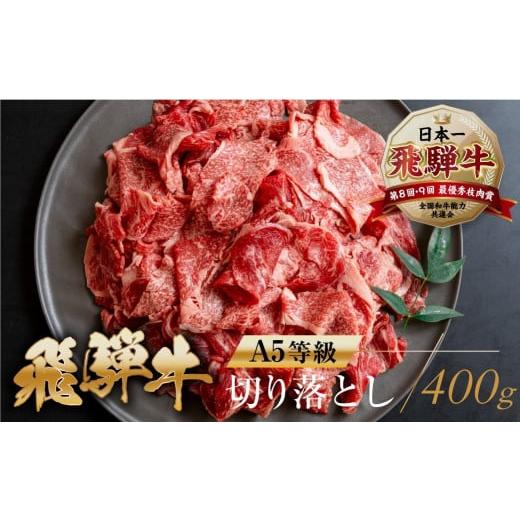 ふるさと納税 牛肉 すき焼き 岐阜県 本巣市 2月発送 A5等級 飛騨牛 切り落とし 400g | 牛肉 肉 和牛 国産牛 肉 焼肉 すき焼き a5 不揃い 冷凍 トキノ屋食品 …