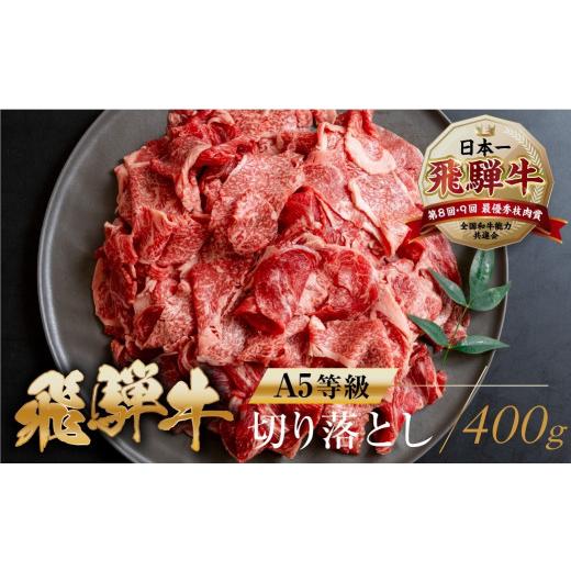 ふるさと納税 牛肉 すき焼き 岐阜県 本巣市 4月発送 A5等級 飛騨牛 切り落とし 400g | 牛肉 肉 和牛 国産牛 肉 焼肉 すき焼き a5 不揃い 冷凍 トキノ屋食品 …