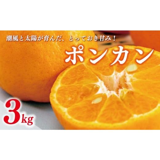 ふるさと納税 みかん・柑橘類 愛媛県 愛南町 数量限定 先行受付 ポンカン 3kg 7000円 ぽんかん 国産 みかん mikan 蜜柑 ミカン 産地直送 農家直送 特産品 ギフ…