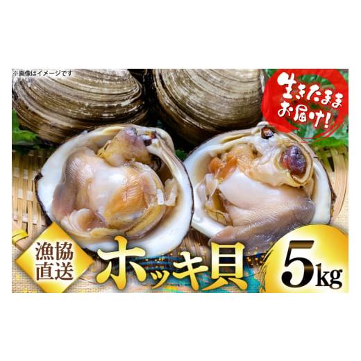 ふるさと納税 魚貝類 青森県 おいらせ町 期間限定発送 2月発送 ホッキ貝 5kg 百石町漁業協同組合 青森県 おいらせ町 oi02ayo550003 ほっき貝 ブランド 奥入瀬…