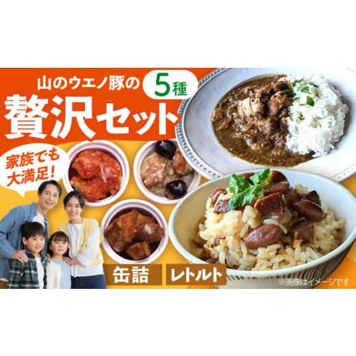 ふるさと納税 缶詰・瓶詰 肉類 長崎県 大村市 山のウエノ豚のご馳走レトルト・缶詰セット 5種(計730g)/ おつまみ レトルトカレー 炊き込みご飯 / 大村市 …