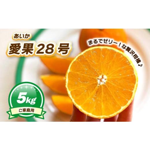 ふるさと納税 果物類 愛媛県 松山市 11月下旬~1月上旬頃発送予定 ご家庭用 愛果28号 5kg | あいか ご家庭用 みかん 数量限定 みかん 愛媛県産 みかん 愛果28…