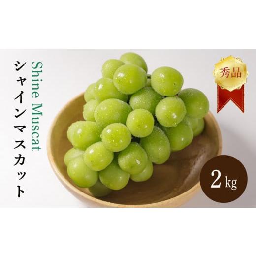 ふるさと納税 ぶどう マスカット 愛媛県 松山市 先行予約 2026年8月下旬から発送 シャインマスカット 2kg 秀品 シャインマスカット マスカット ますかっと ぶ…